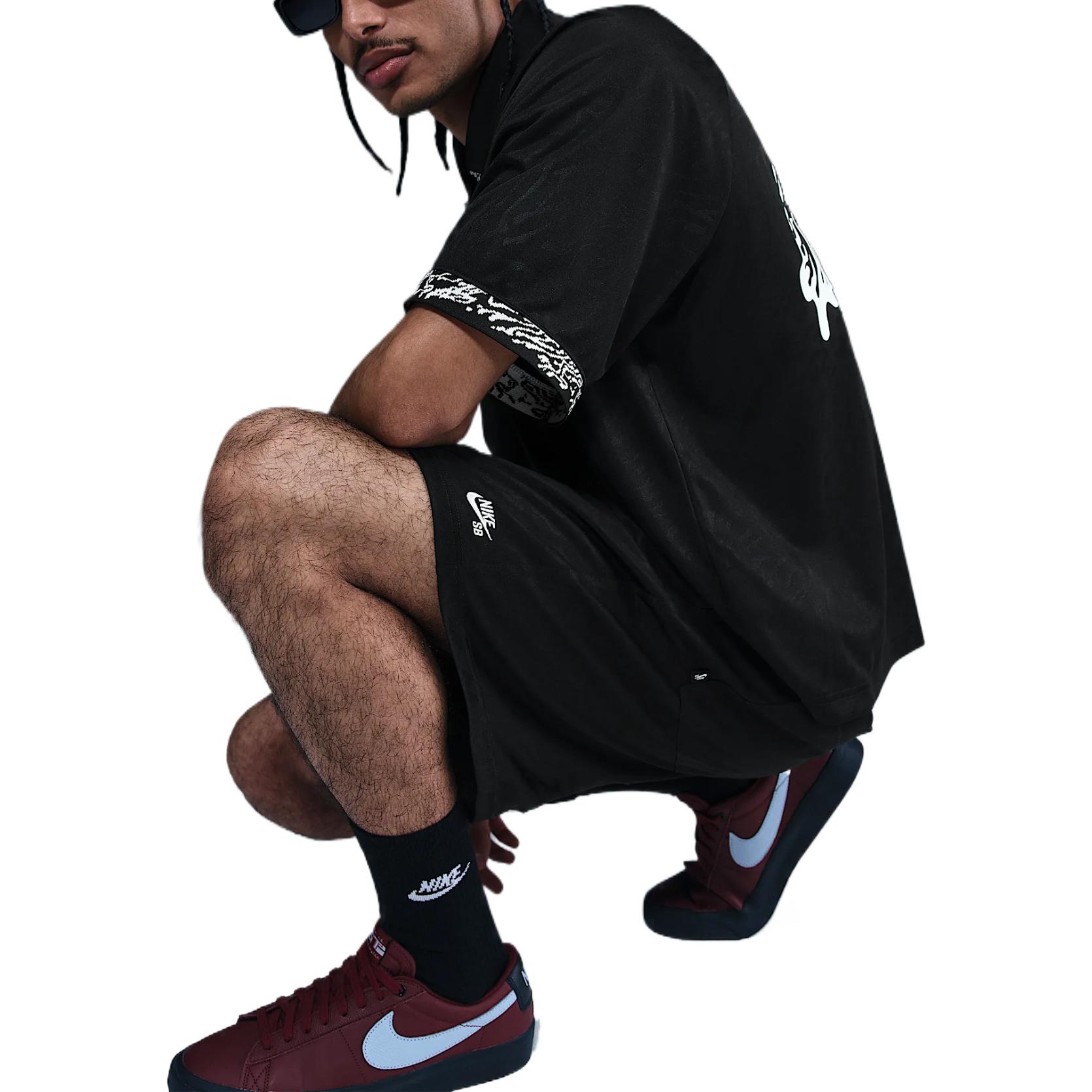 Nike Sb Dri FIT Skate Shorts