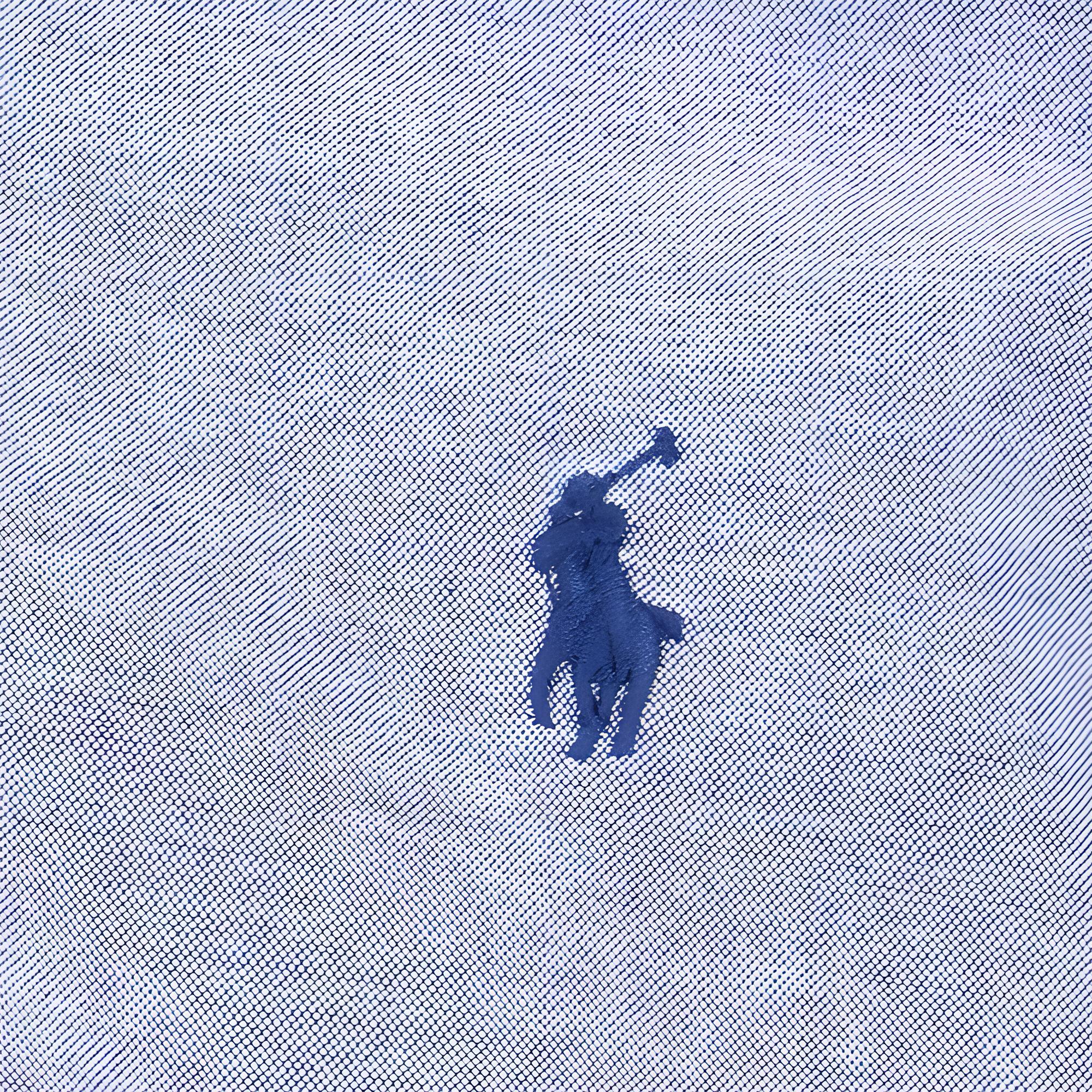 Мужская рубашка Ralph Lauren (темно-синяя) — фото 6
