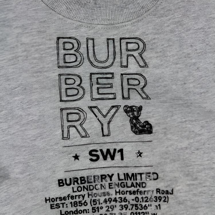 Детская толстовка Burberry (серый) — фото 2