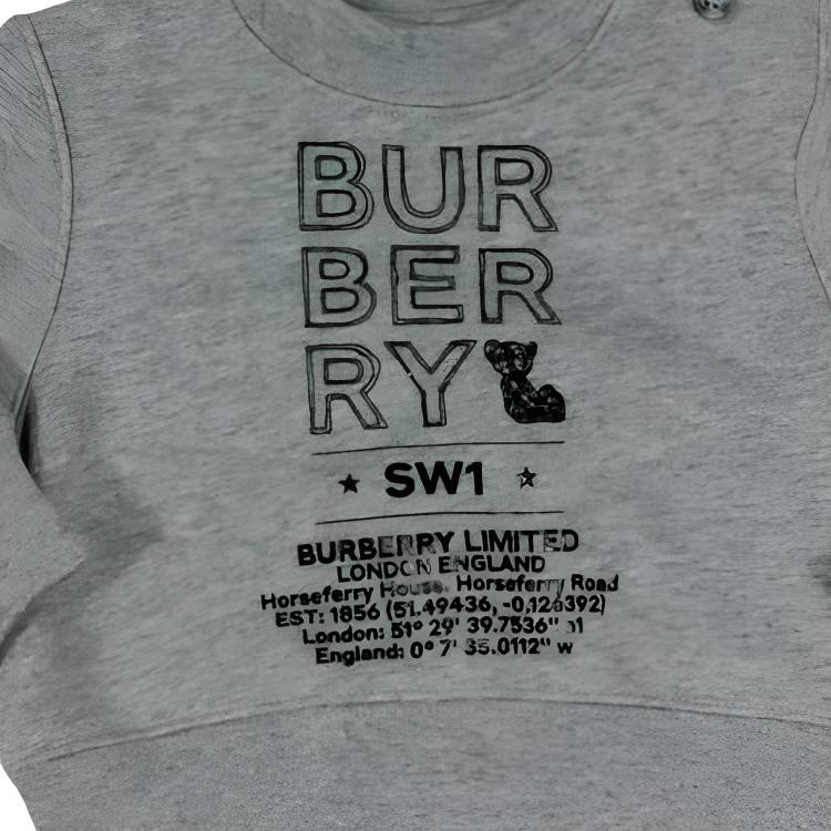 Детская толстовка Burberry (серый) — фото 3