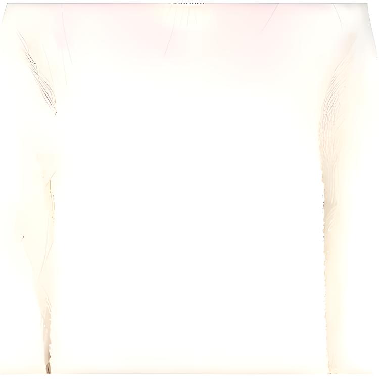 Женский свитер Maison Margiela Crewneck (белый) — фото 5