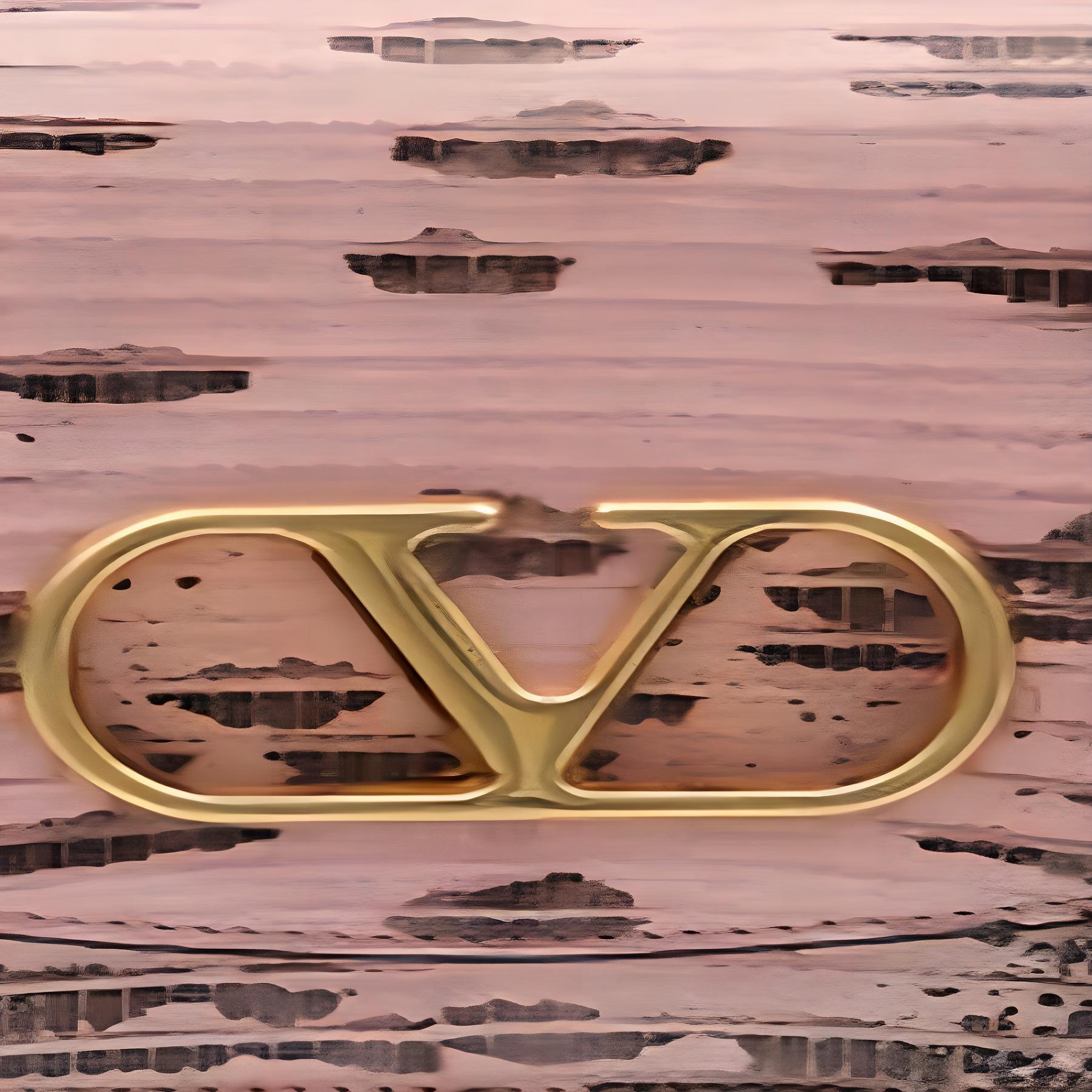 Женская сумка Valentino GARAVANI Vain (розово-коричневая) — фото 5