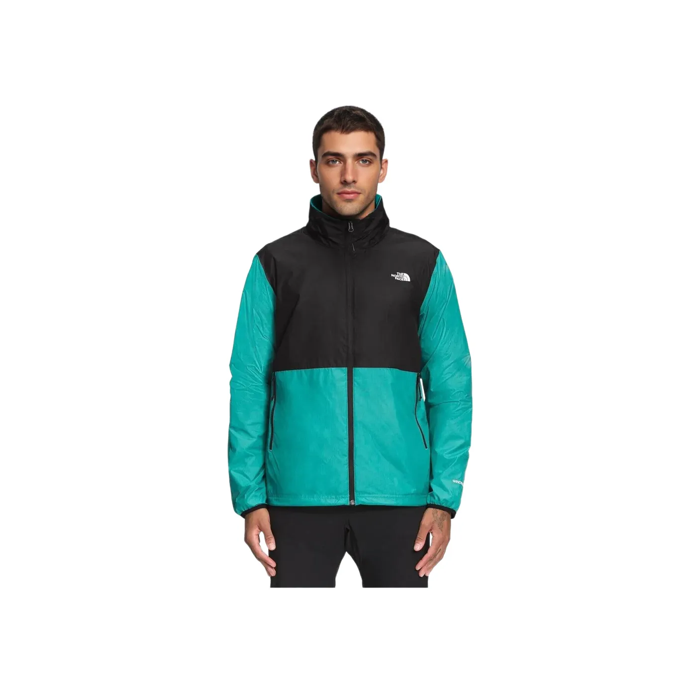 THE NORTH FACE Куртки и Пальто Мужской Мятно-Зеленый
