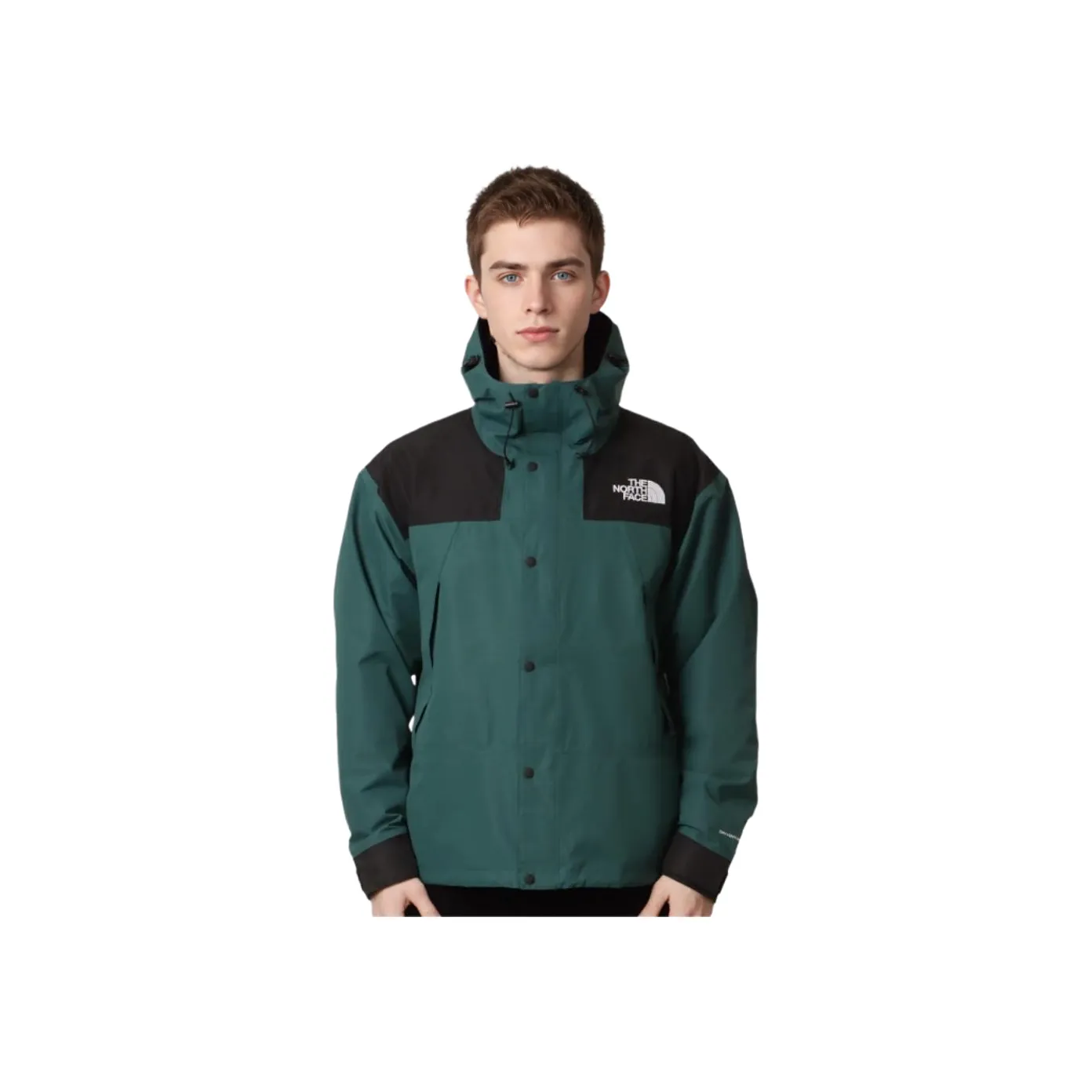 THE NORTH FACE Куртки и Пальто Мужской Зеленый