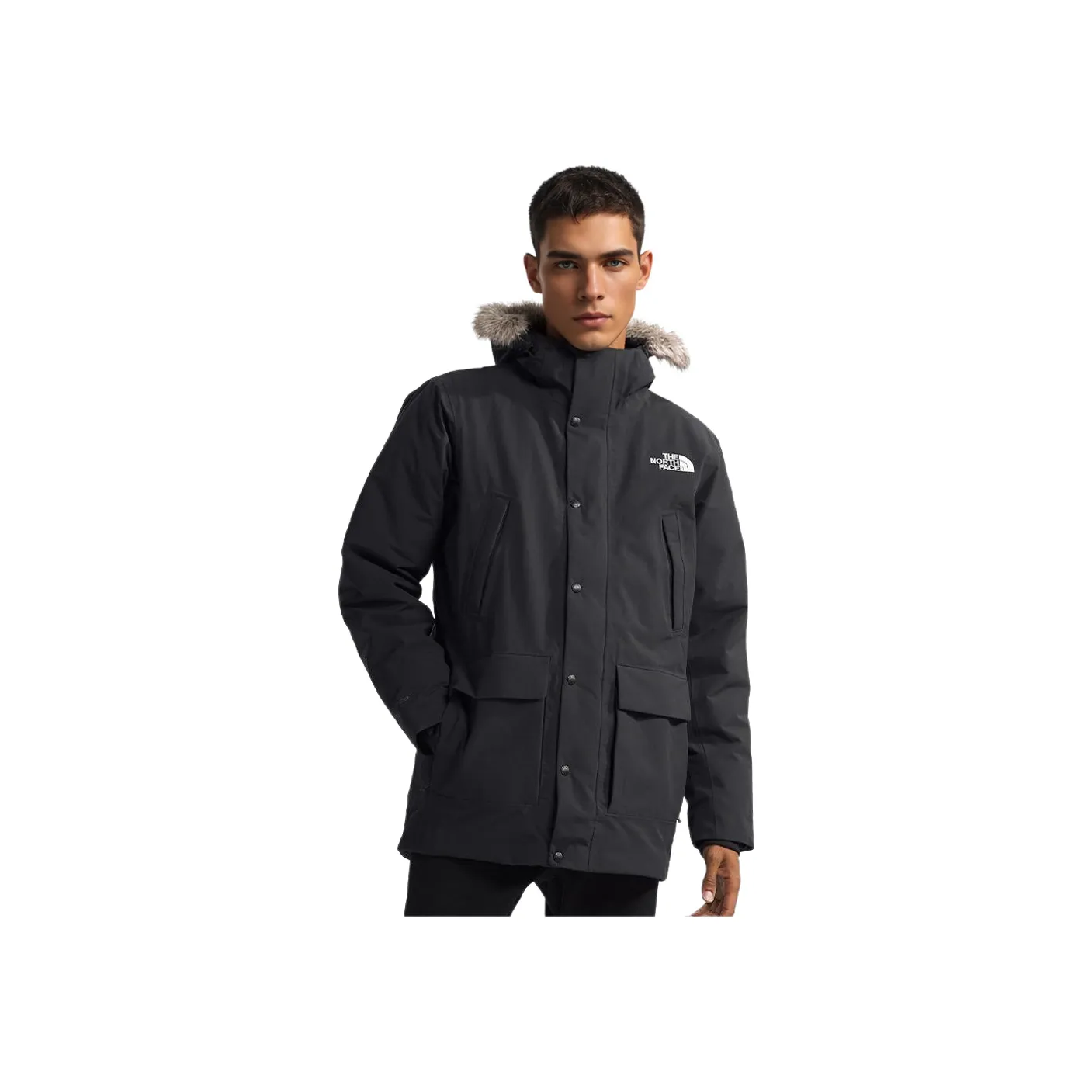 THE NORTH FACE Puffer Jackets Men Gray Black