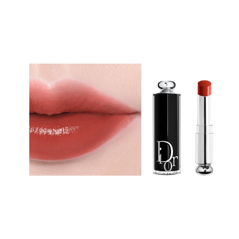 Сумка Dior Rouge Dior Lipstick 2026 (черная)