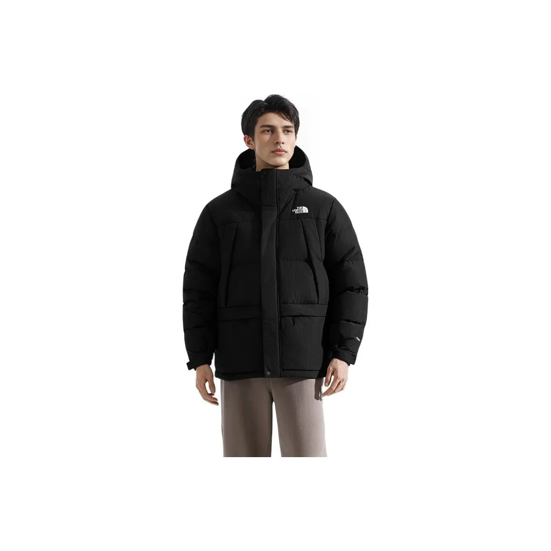 THE NORTH FACE С наполнителем пуховик мужской