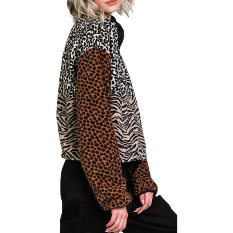 Photo 21123562