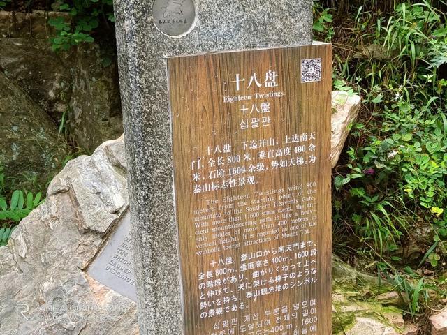 「科技犬游记」四个半小时登顶泰山玉皇顶,还有别称叫“鬼都”