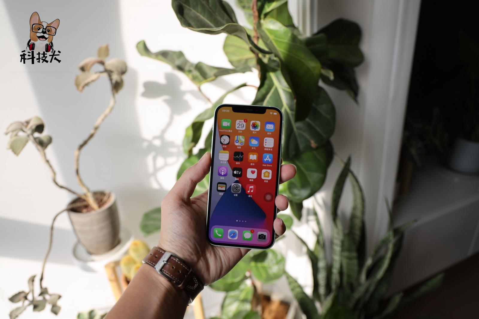 华为Mate40系列、IPhone 12购买建议:花果粉误点