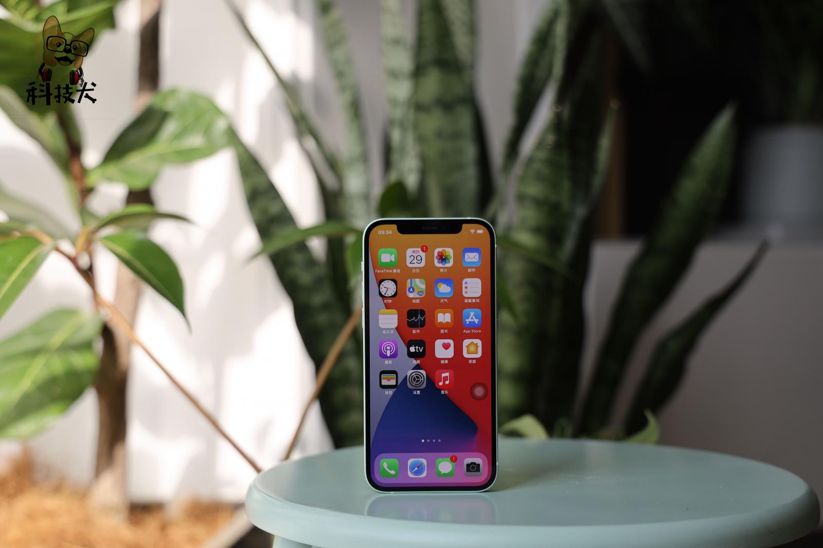 华为Mate40系列、IPhone 12购买建议:花果粉误点
