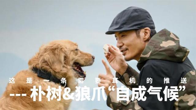 这是一条需要耳机的推送—朴树&狼爪“自成气候”