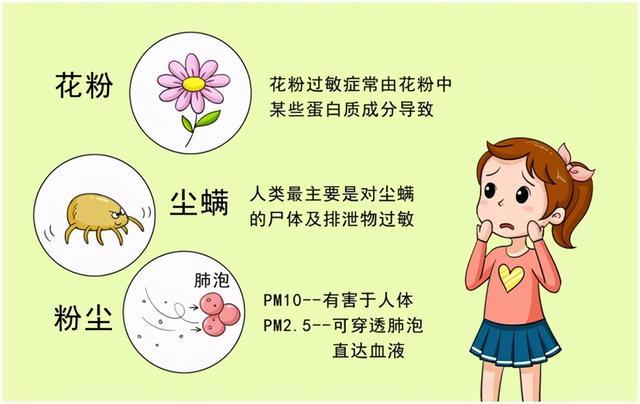 买前必看,送给新人的空气净化器挑选指南