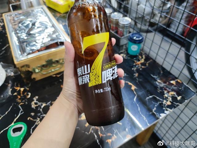 「科技犬游记」四个半小时登顶泰山玉皇顶,还有别称叫“鬼都”