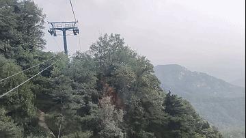 「科技犬游记」四个半小时登顶泰山玉皇顶,还有别称叫“鬼都”