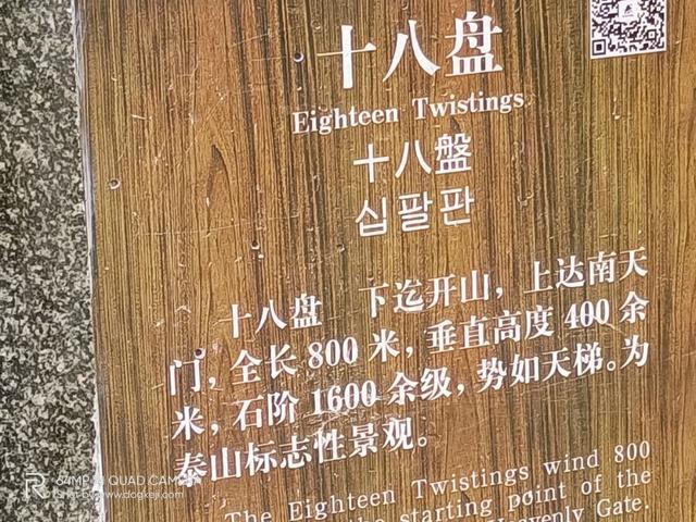 「科技犬游记」四个半小时登顶泰山玉皇顶,还有别称叫“鬼都”