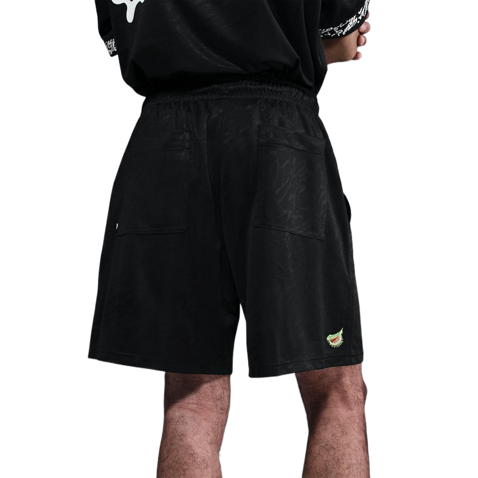 Nike Sb Dri FIT Skate Shorts