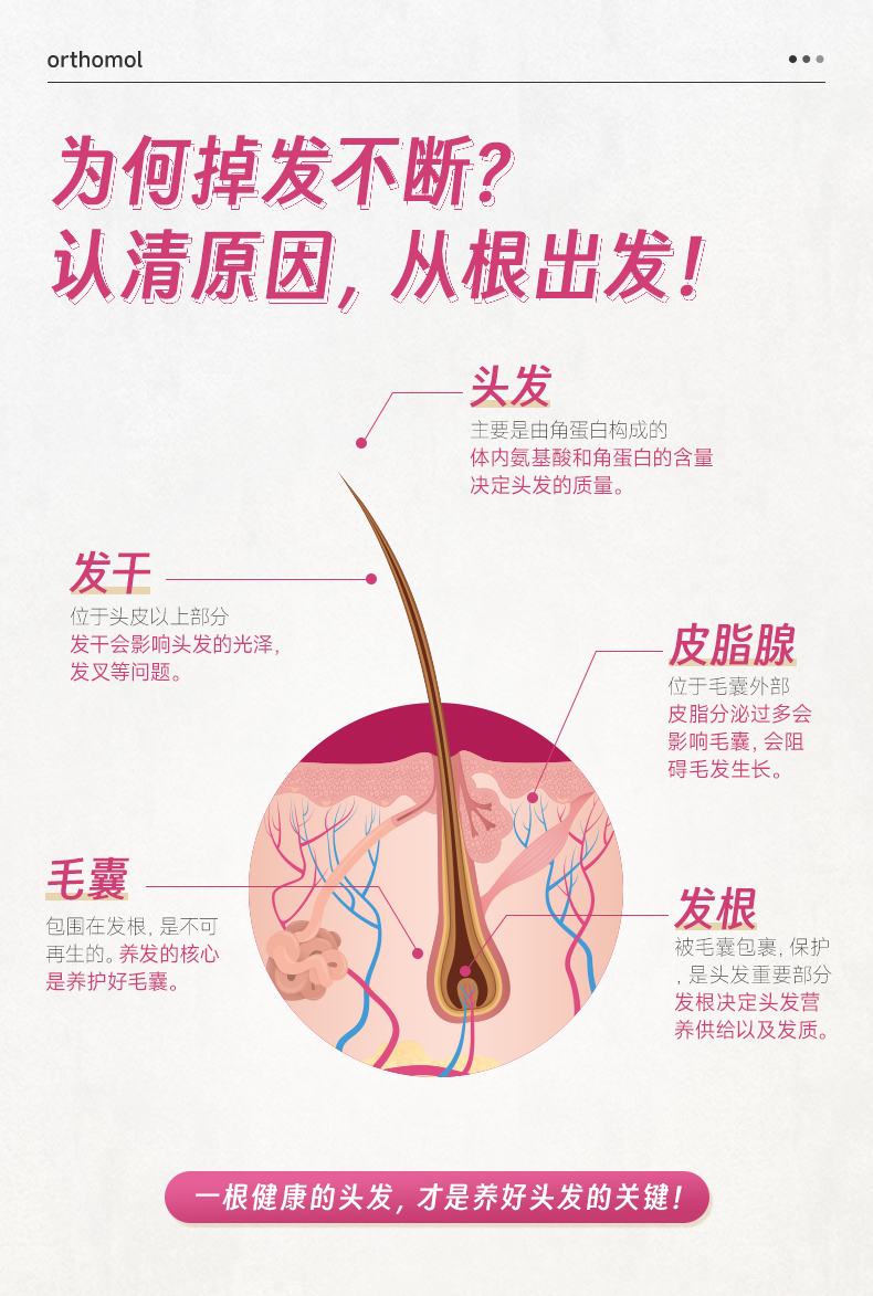 【香港直邮】 德国 奥适宝 维生素B6养发营养胶囊60粒/盒 30天装  生物素+锌+硅 由内而外焕发生机 强韧发丝