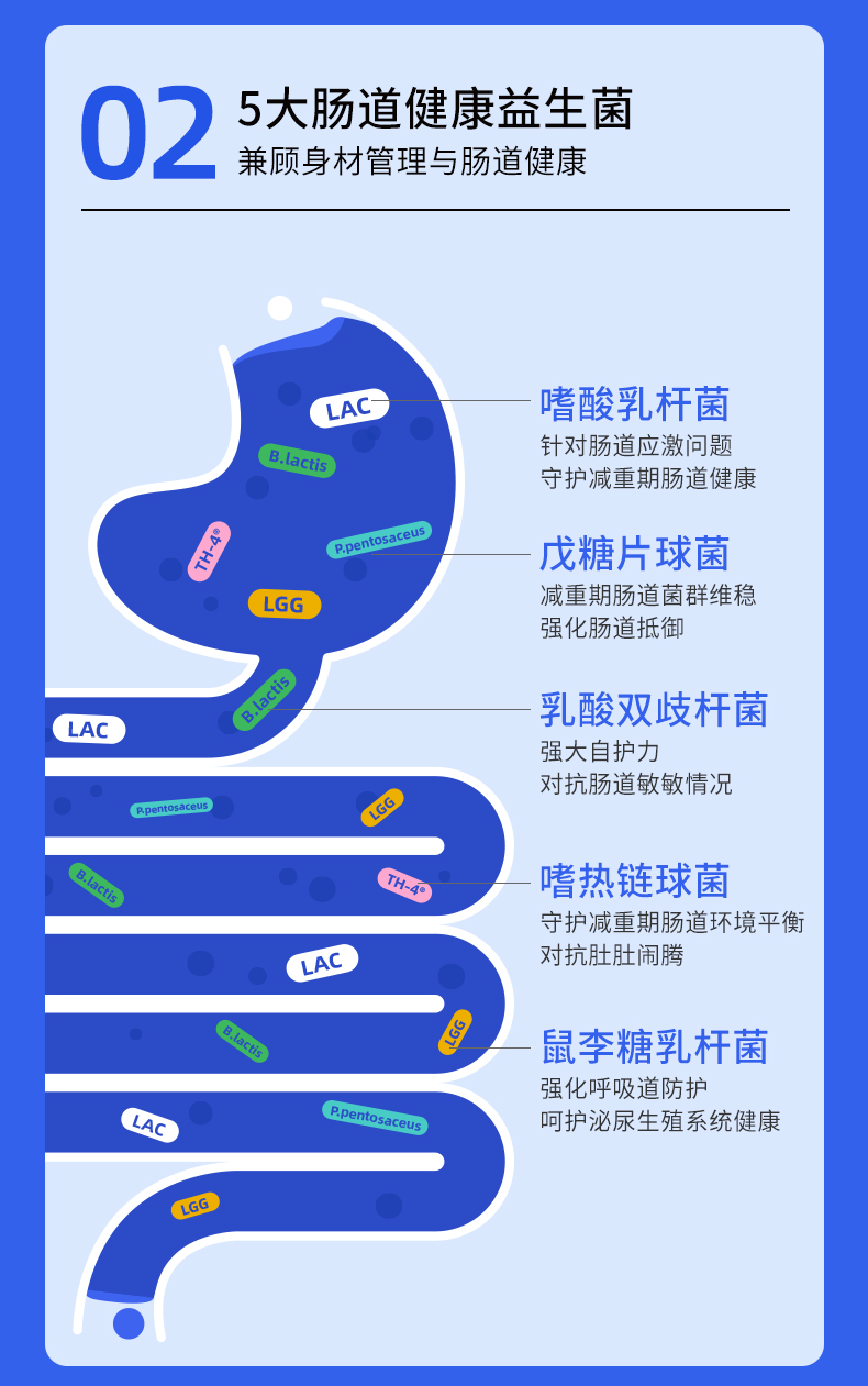 【香港直邮】 德国 奥适宝 进口成人益生菌30粒/瓶 10大益生菌+精选矿物质 调理肠胃清新口气 身材管理肠道养护