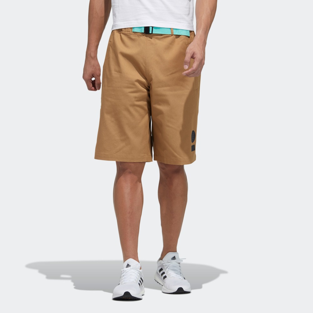 Мужские шорты adidas Outdoor Shorts (разноцветные) — фото 2