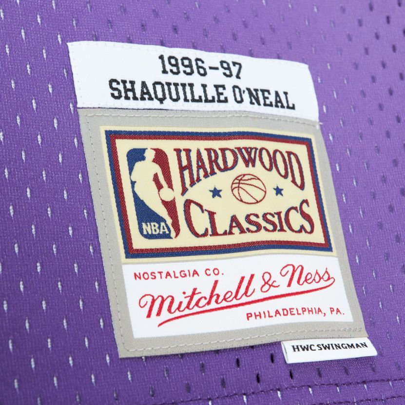 Mitchell Ness Basketball Jersey Men’s Purple