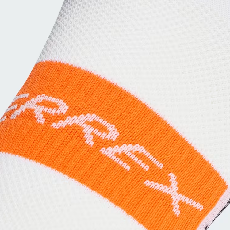 Adidas Terrex HEAT.RDY ankle socks
