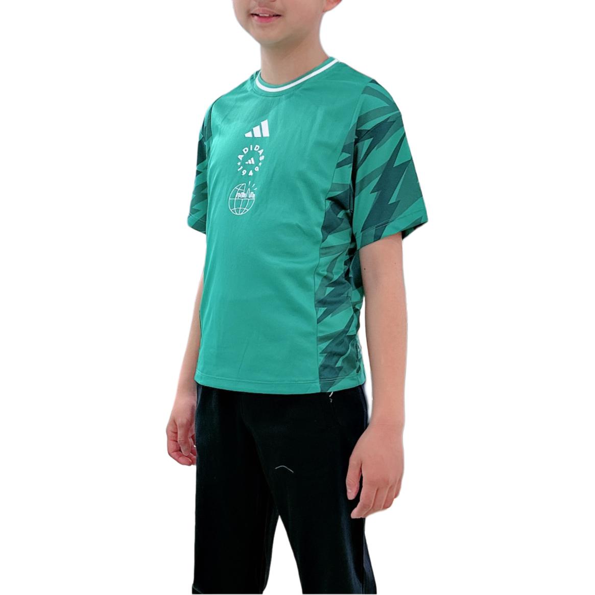 Мужская футболка adidas adidasT GRAPHIC SHORT SLEEVE T-SHIRT (салатово-зеленая) — фото 5