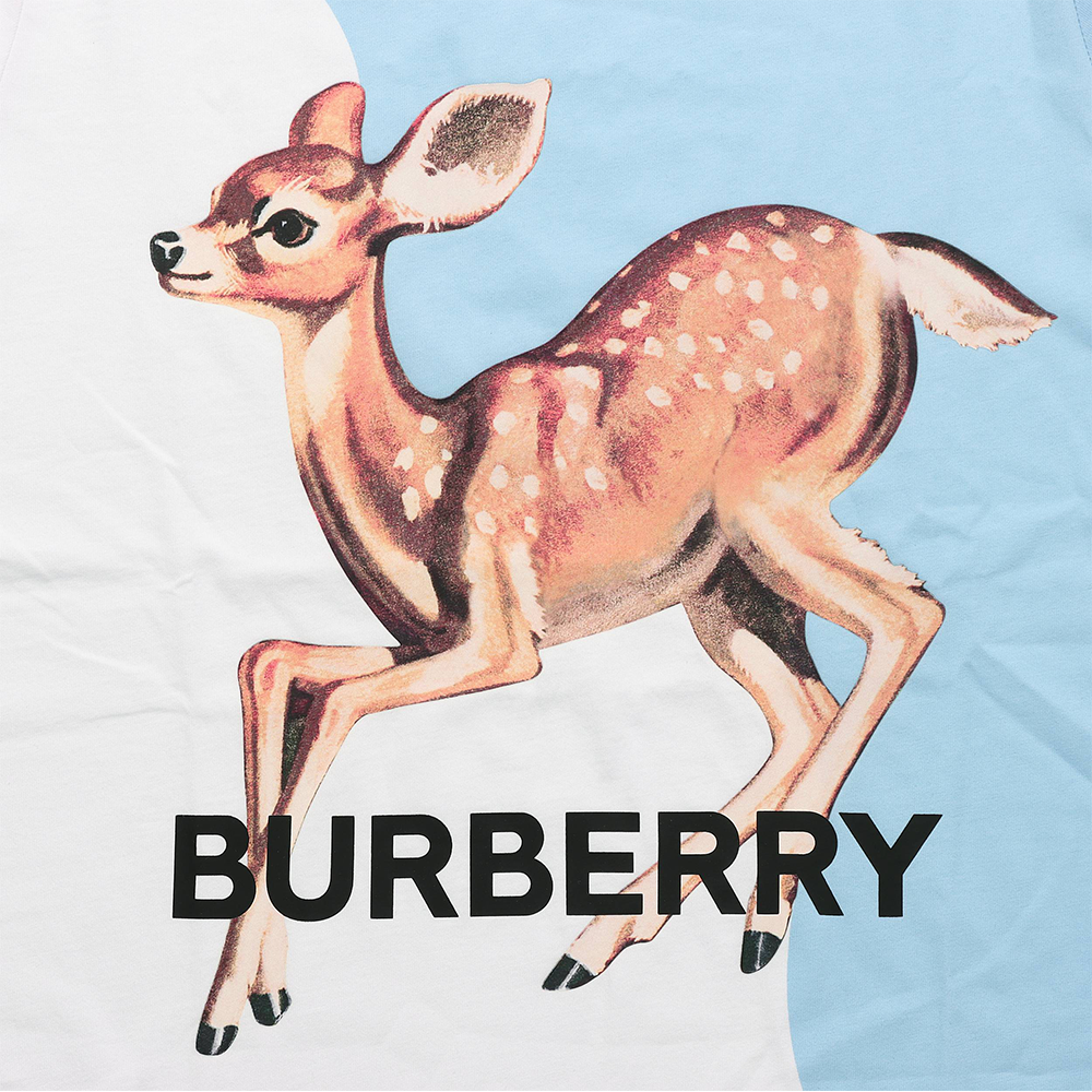 Футболка Burberry BurberryT Logo (белый) — фото 9