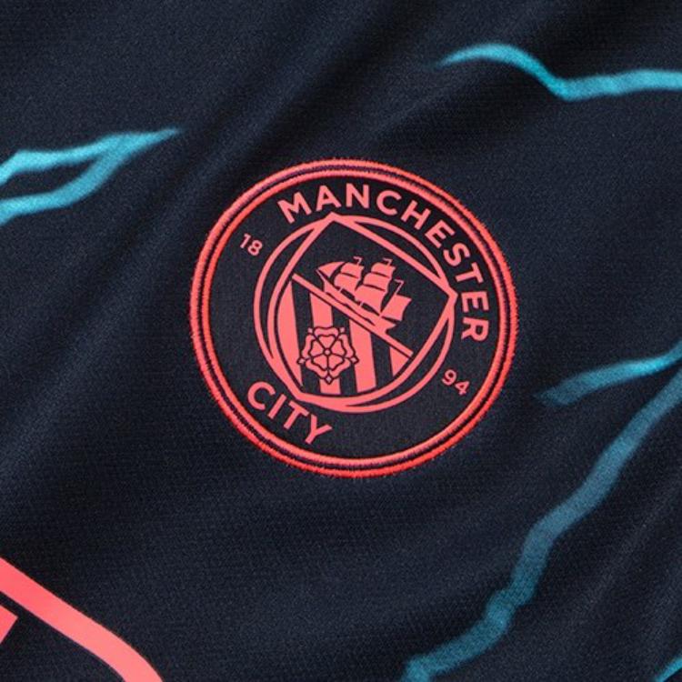 PUMA Soccer Jerseys Men’s Blue Moderate