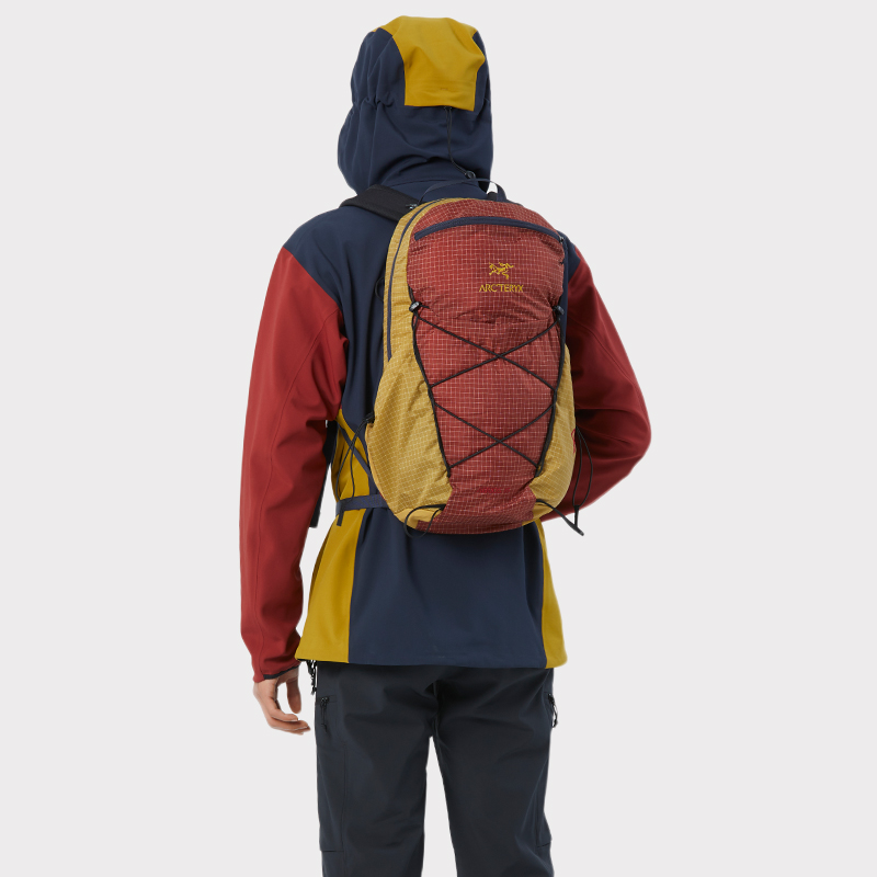 Arcteryx Logo