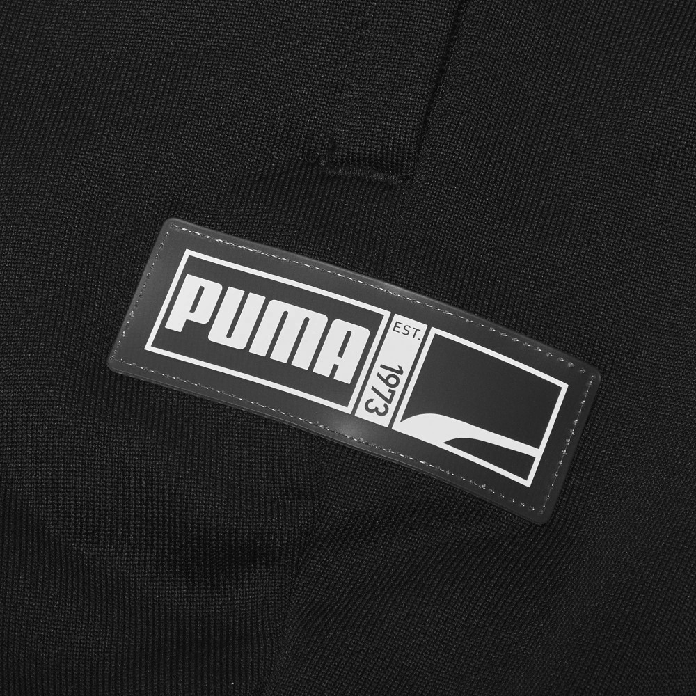 Мужские штаны PUMA Fs Track Pant Logo (черные) — фото 5