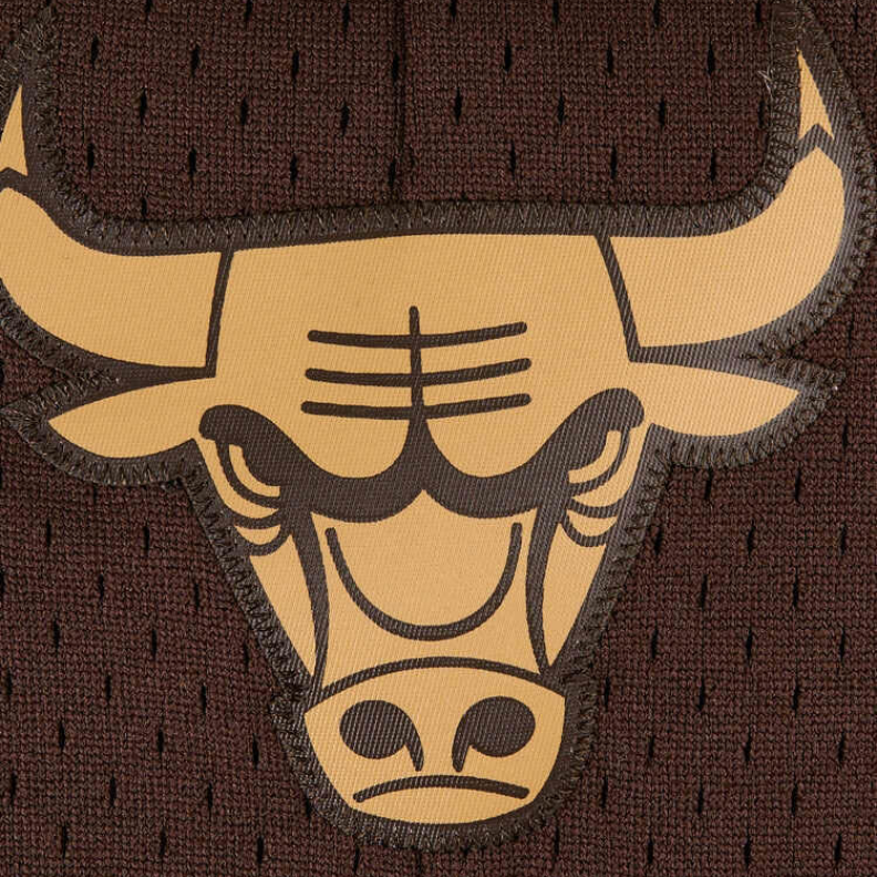 Mitchell Ness Basketball Shorts Unisex Brown