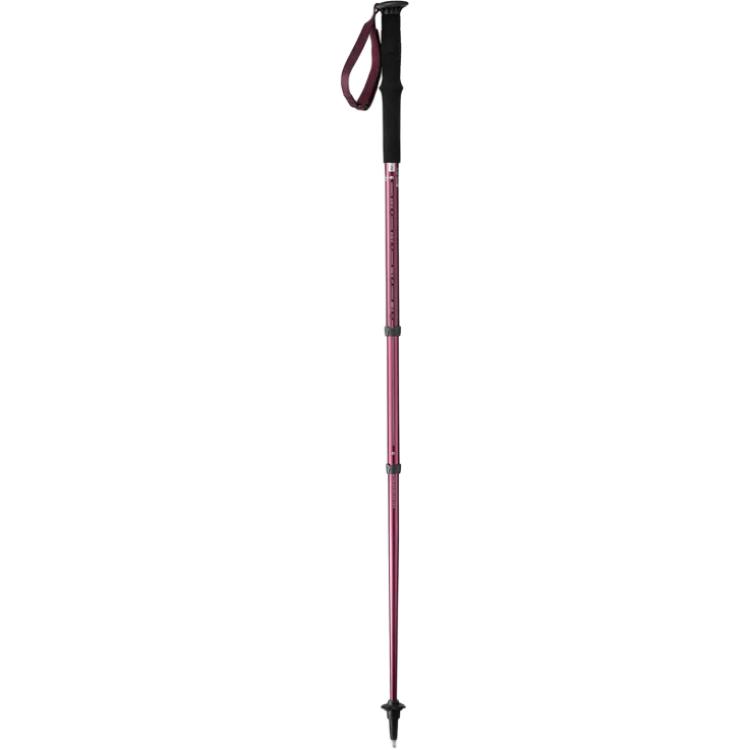 DECATHLON MT100 Trekking Pole Unisex
