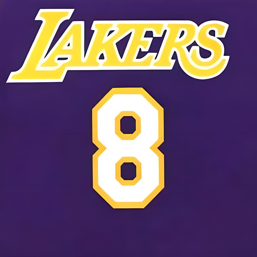 Mitchell Ness Basketball Jersey Men’s Purple
