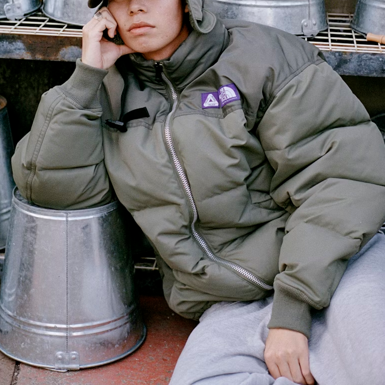 Куртка Palace × The North Face Purple Label FW25 (разноцветная) — фото 3