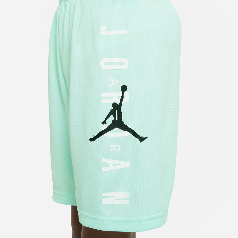 Мужские шорты Jordan Logo (мятные) — фото 4