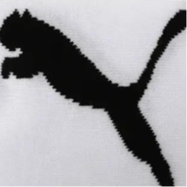 PUMA Unisex Ankle Socks