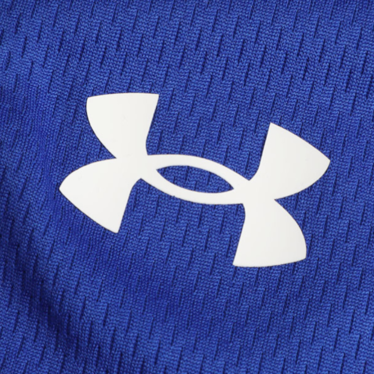 Under Armour Shorts Men’s Royal Blue
