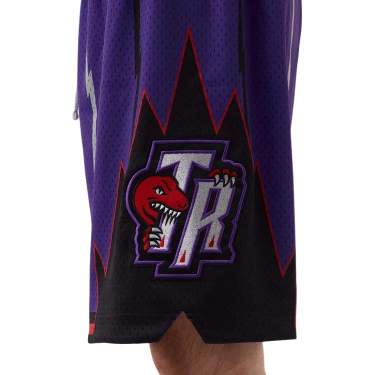Mitchell Ness Basketball Shorts Unisex Purple