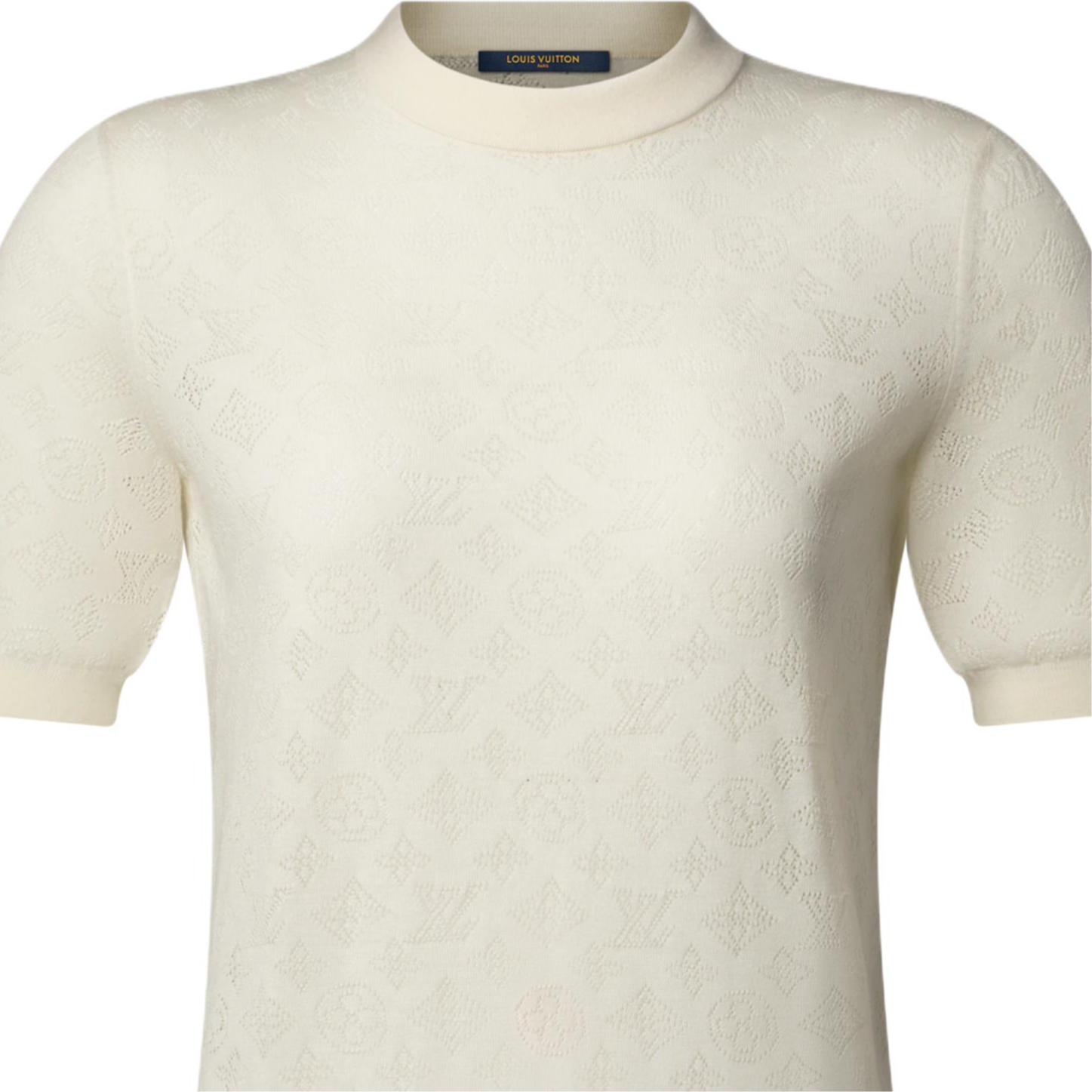 Женские свитера и кардиганы Louis Vuitton LOUIS VUITTON Monogram SS26 Flight Mode (многоцветный) — фото 5