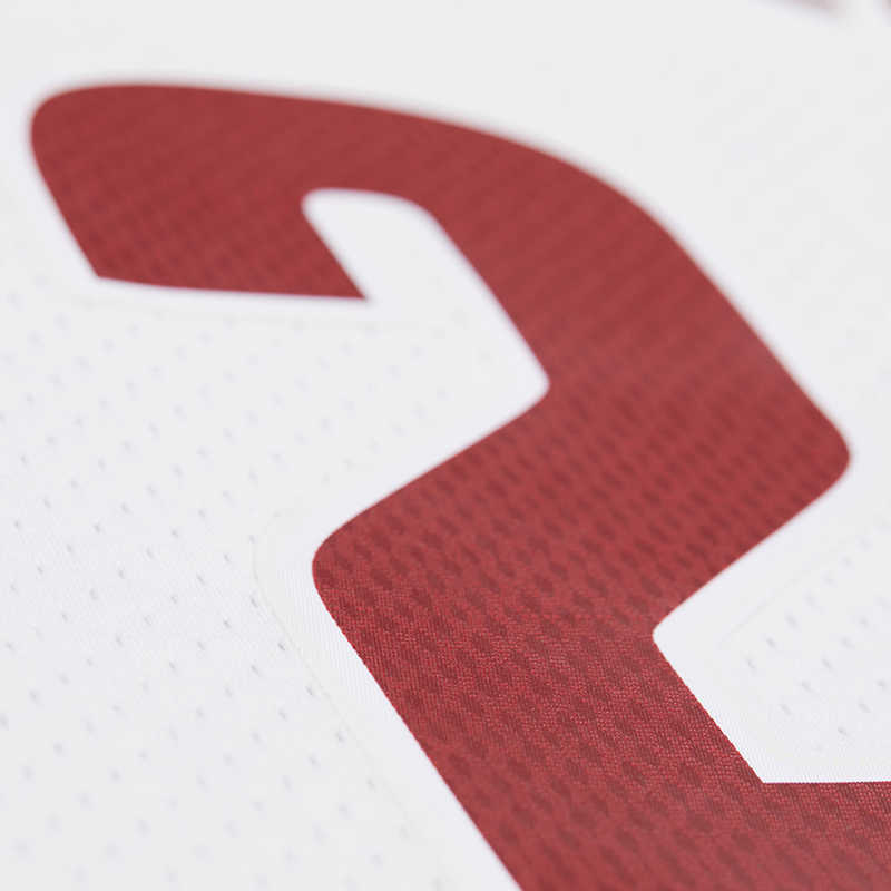 Mitchell Ness x NBA Cleveland Knight James Basketball Jersey Unisex White