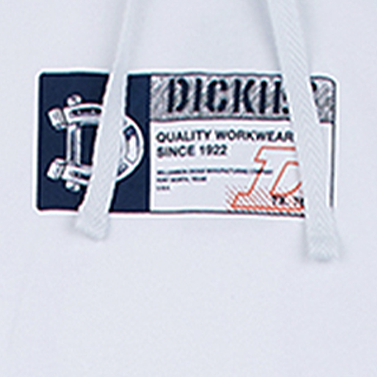 Мужская футболка Dickies logo (белая) — фото 4
