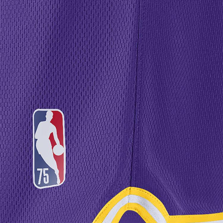 Nike Basketball Shorts Men’s Purple