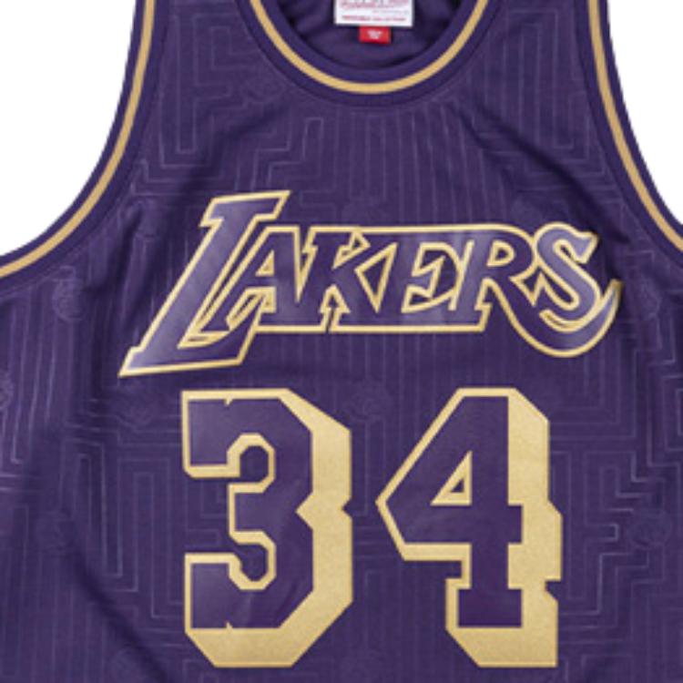 Mitchell Ness Basketball Jersey Men’s Violet