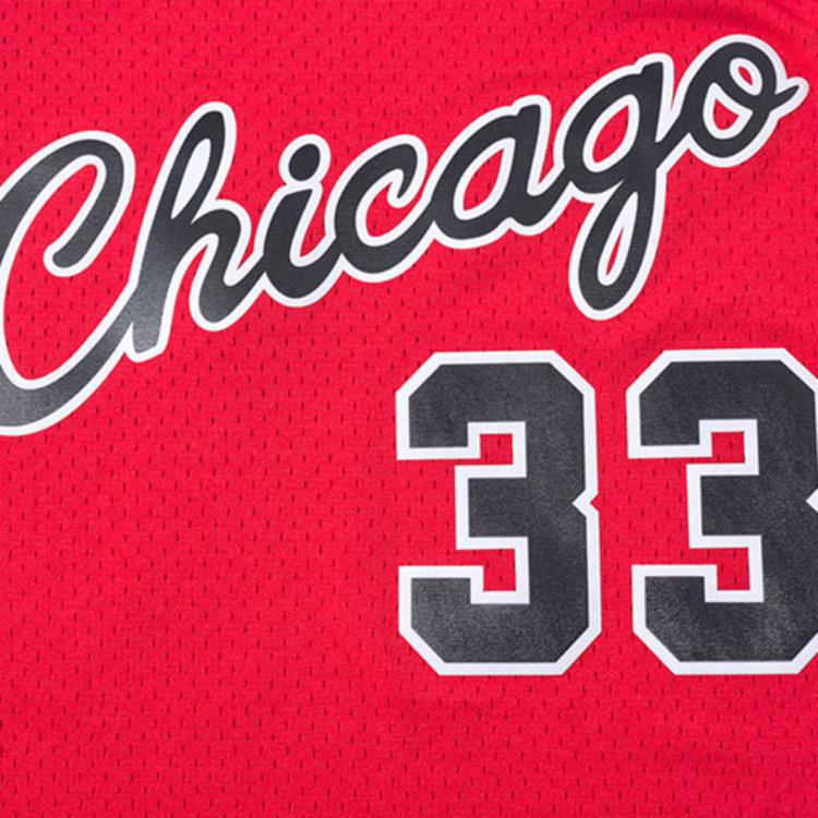 Mitchell & Ness Scottie Pippen Chicago Bulls Alternate 2003 04 Nba Jersey