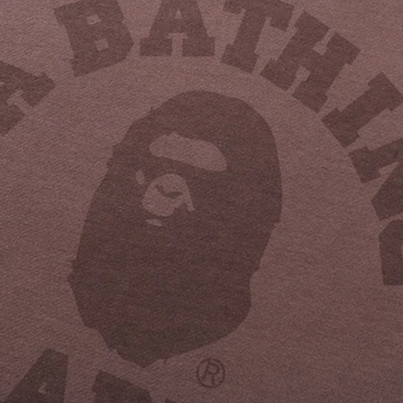 Женская худи A BATHING APE BAPE College Hoodie Onepiece (разноцветная) — фото 2