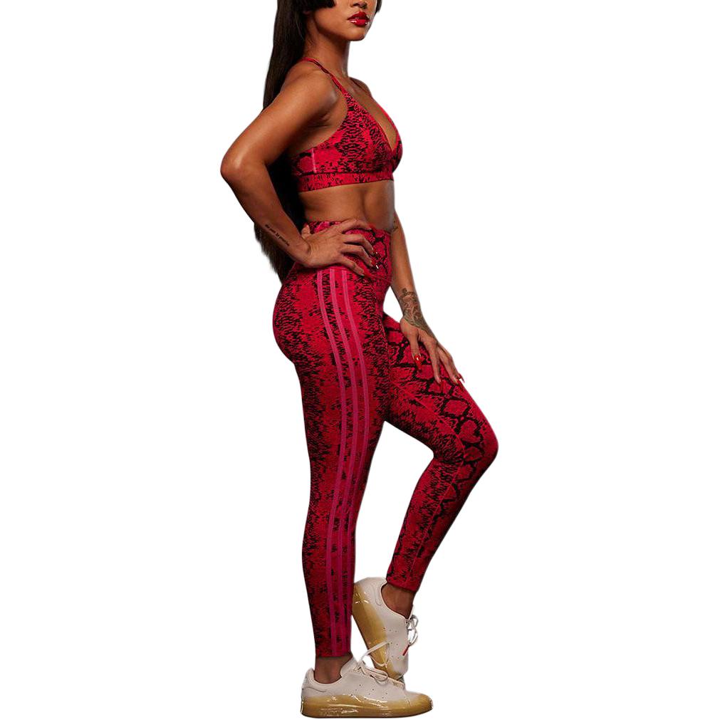 Adidas Ivy Park Allover Print Tights Red/Black
