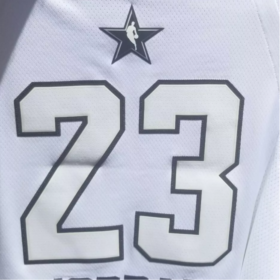 Jordan All Star Edition Authentic Jersey