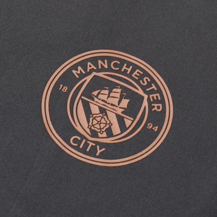 PUMA MCFC Soccer Jerseys Men’s Gray Moderate Straight Fit