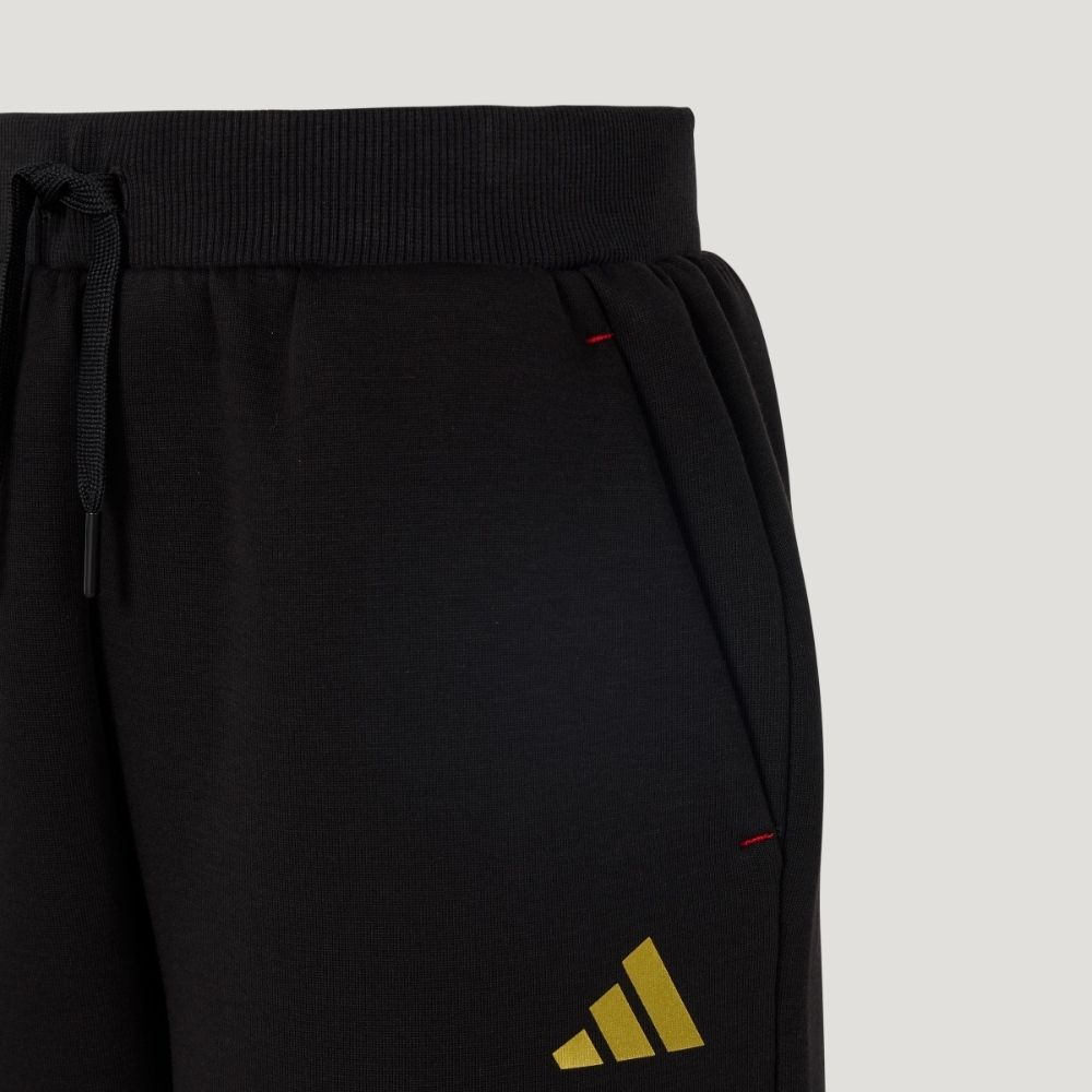 Спортивные штаны adidas KV6976 (черные) — фото 4